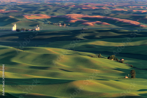 WA, Whitman County, Palouse farmland, view from Steptoe Butte photo