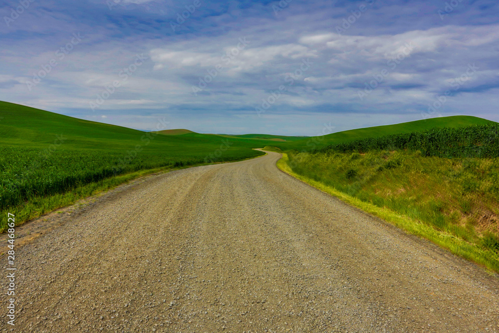 USA, Washington State, Palouse, Back road through the Wheat fields of the Palouse USA, Washington State, Palouse, Back road through the Wheat fields of the Palouse