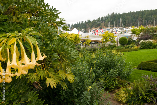 Fotografija USA, WA, San Juan Island