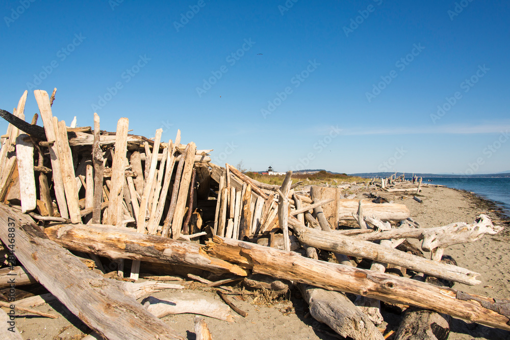 US, WA, Hansville. Point No Point State Park elaborate driftwood construction on beach. US, WA, Hansville. Point No Point State Park elaborate driftwood construction on beach.