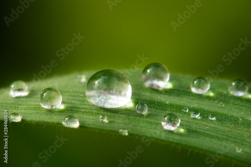 Close-up of water droplets on blades of grass.