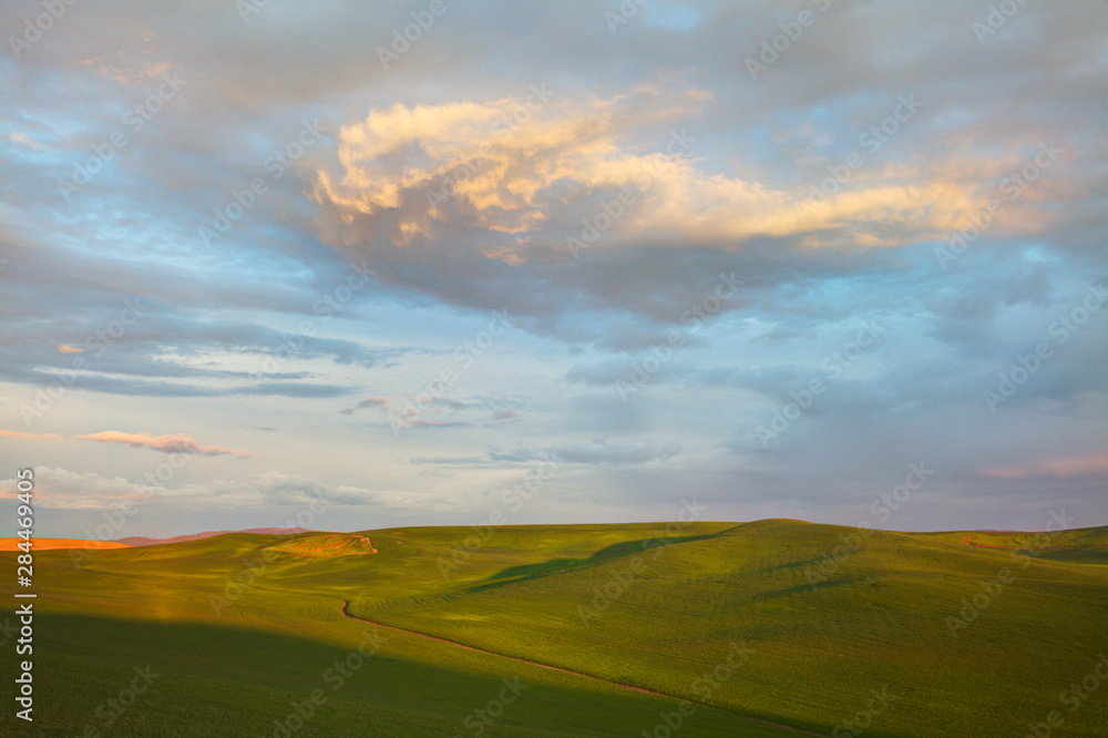 USA, Washington State, Palouse Country, Rolling Hills of Green Spring Wheat and Evening Clouds