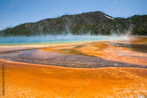 WY, Yellowstone National Park, Midway Geyser Basin, Grand Prismatic Spring, colorful bacterial mats