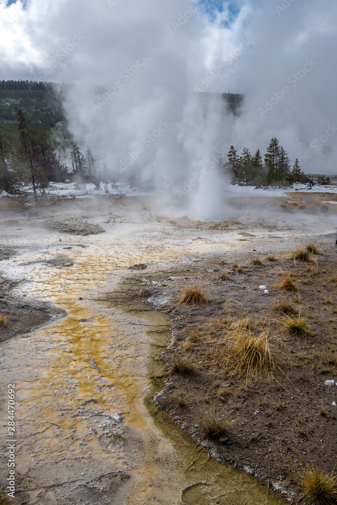 USA, Wyoming. Geothermal area and colorful thermophile designs of Vixen Geyser, Norris Geyser Basin, Yellowstone National Park.