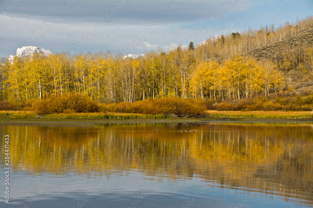 Autumn, Oxbow, Grand Teton National Park, Wyoming, USA