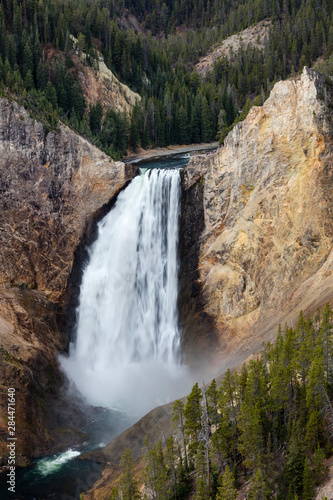 Lower falls from Lookout Point  Grand Canyon of the Yellowstone River  Yellowstone National Park  Wyoming  USA