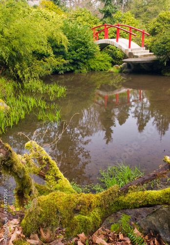 USA  WA  Seattle. Kubota Gardens moon bridge in early spring. The brochure explains the moon bridge symbolizes the difficulty of living a good life Hard to walk up and hard to walk down