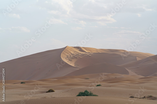 Sahara desert in Marocco