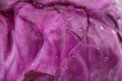 Ripe red cabbage as background, closeup view