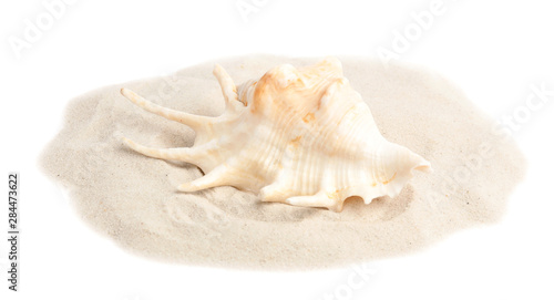 Pile of beach sand with sea shell on white background