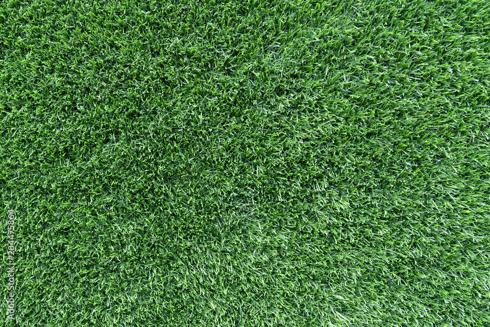 Obraz premium Green grass texture background.