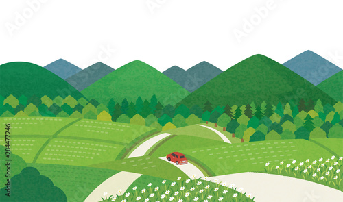 田舎道　夏