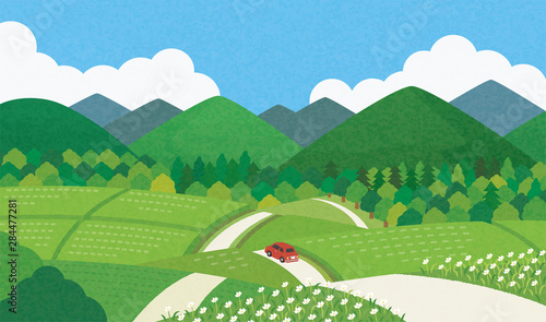 田舎道　夏