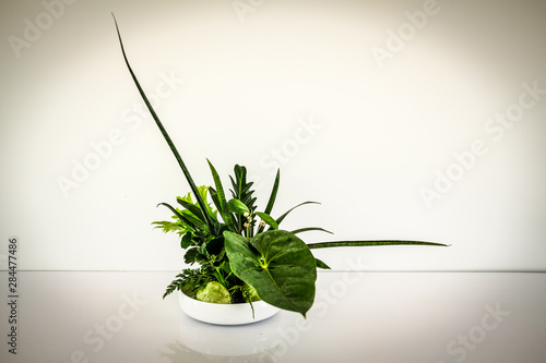 green leaves arrangement in japanese ikebana photo