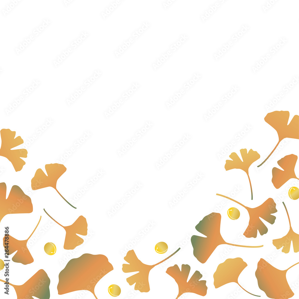 Fototapeta premium Ginkgo leaves illustration on white background