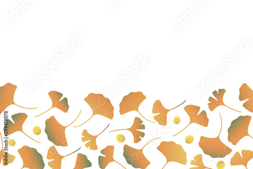Ginkgo leaves illustration on white background