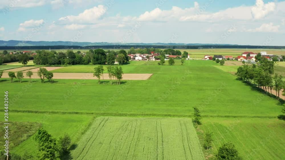Aerial view of a tree agricultural lands in different shades of green on a bright and sunny day Aerial view of a tree agricultural lands in different shades of green on a bright and sunny day