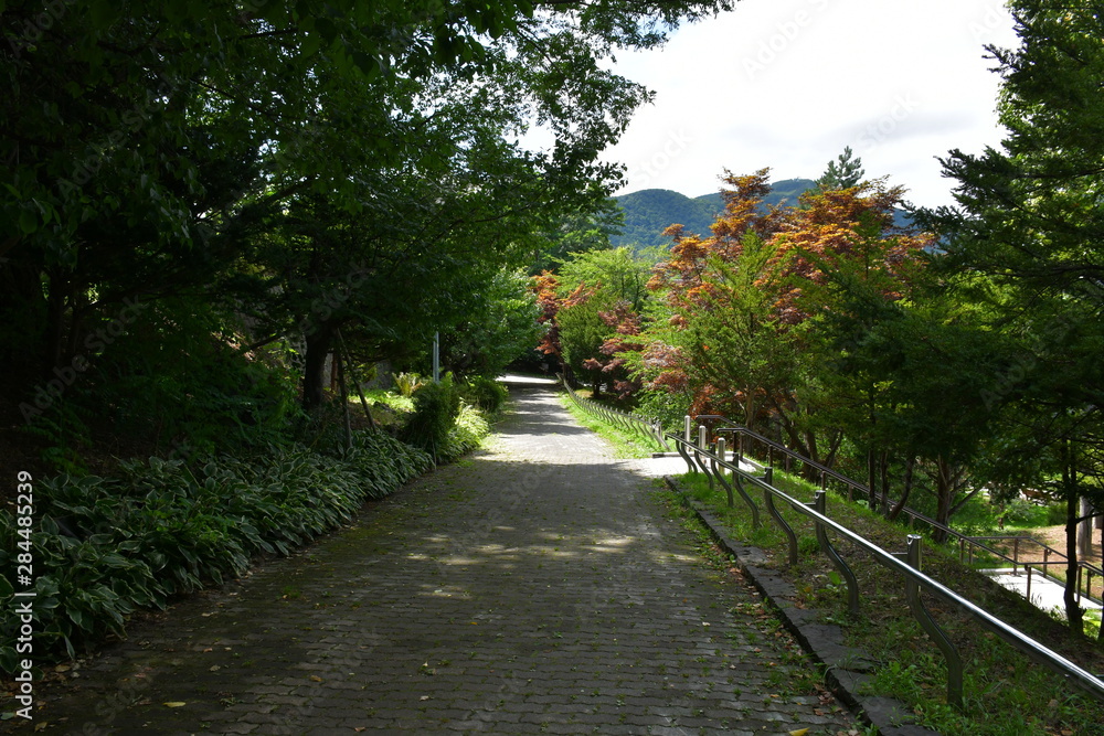 天神山 遊歩道3