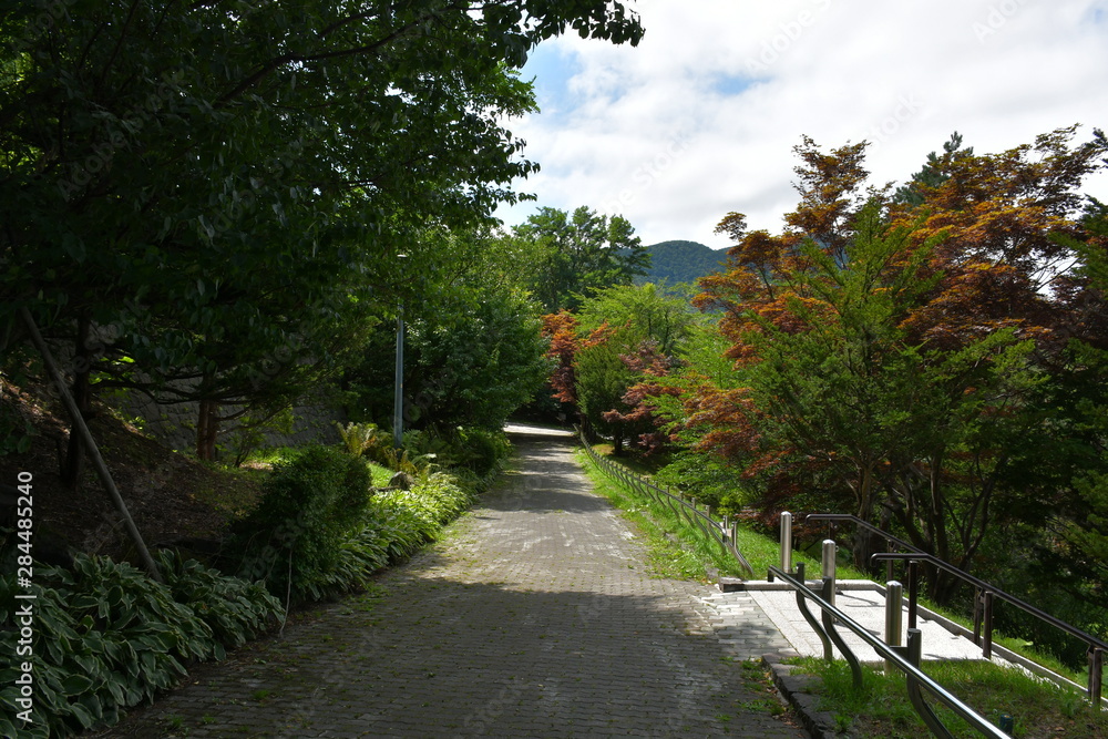 Obraz premium 天神山 遊歩道2