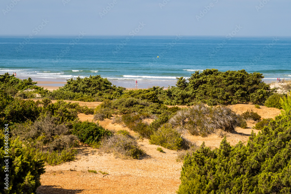 Sand dunes on the beach of La Barrosa in Sancti Petri, Cadiz, Spain