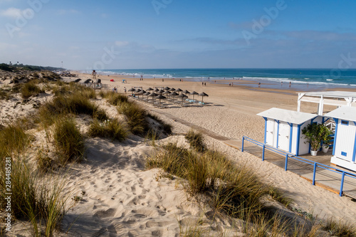 Sand dunes on the beach of La Barrosa in Sancti Petri  Cadiz  Spain