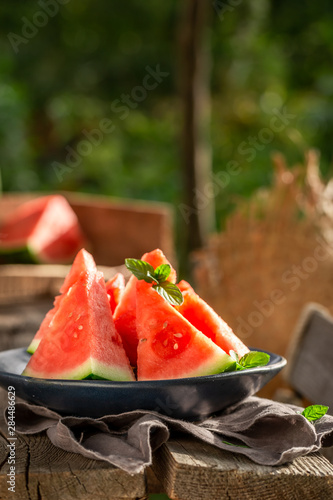 Closeup of sweet and tasty watermelon in sunny garden