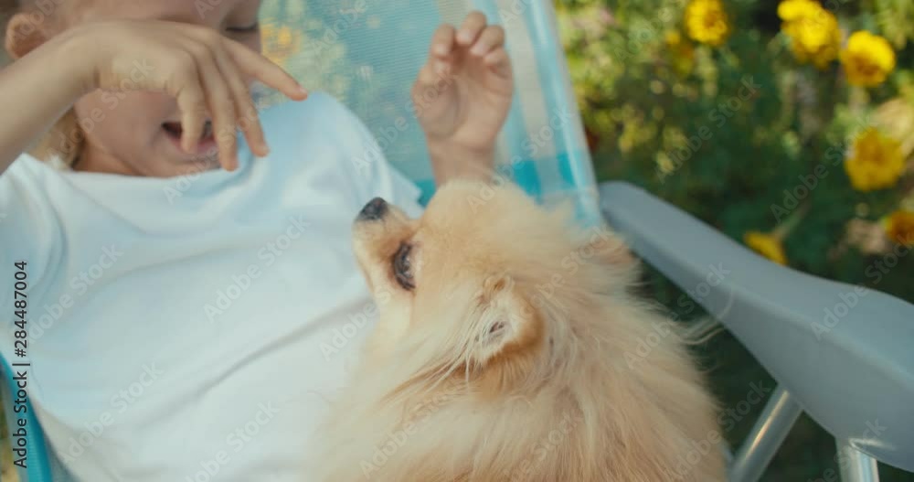 Happy little girl playing with dog Happy little girl playing with dog