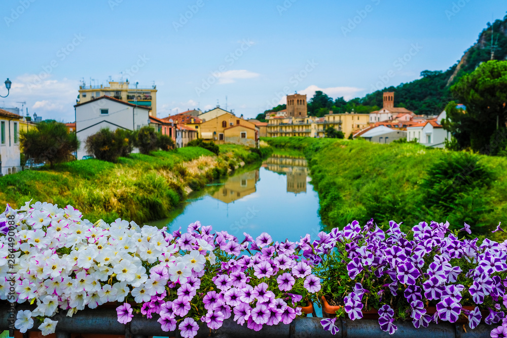 Landscape with the image of channel in  Monseliche, Italy with flowerbed under the frontground