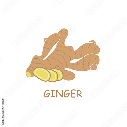 illustration of ginger root plant isolated on white background