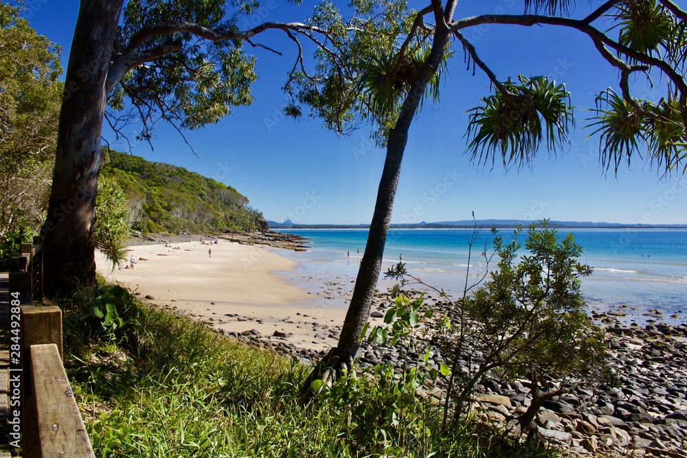 View of Noosa beach and ocean through trees View of Noosa beach and ocean through trees