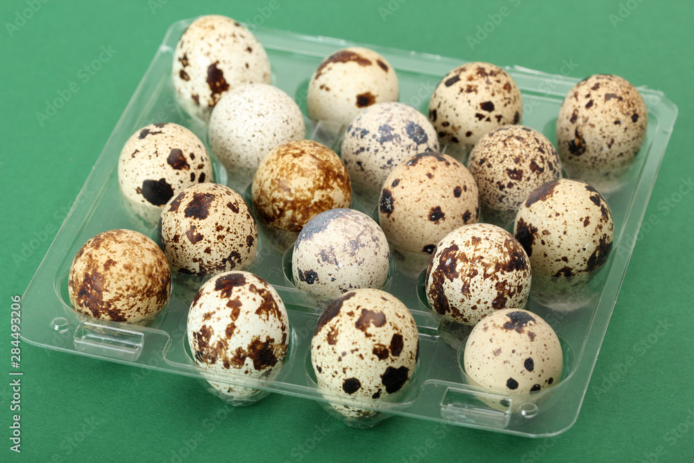 Obraz premium quail eggs