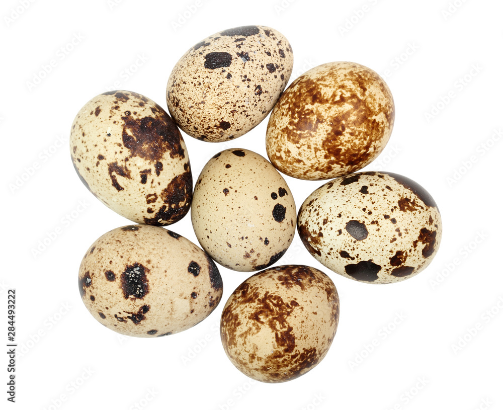 quail eggs isolated on white background quail eggs isolated on white background