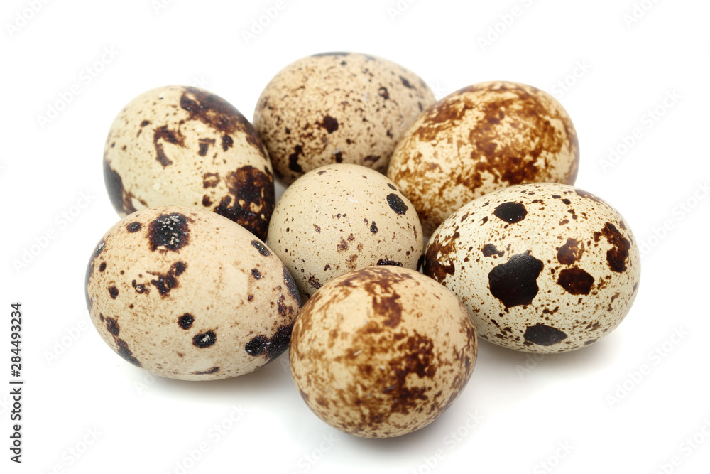 quail eggs isolated on white background quail eggs isolated on white background