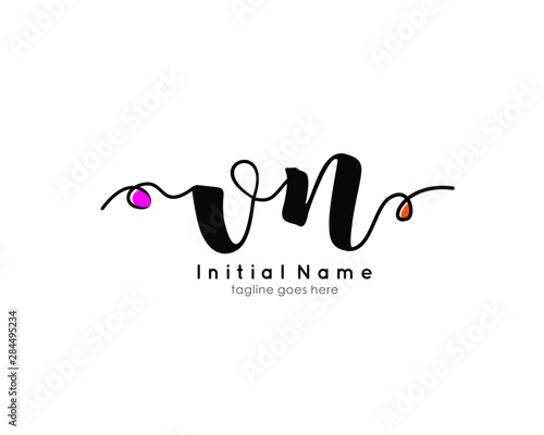 V N VN Initial brush color logo template vetor