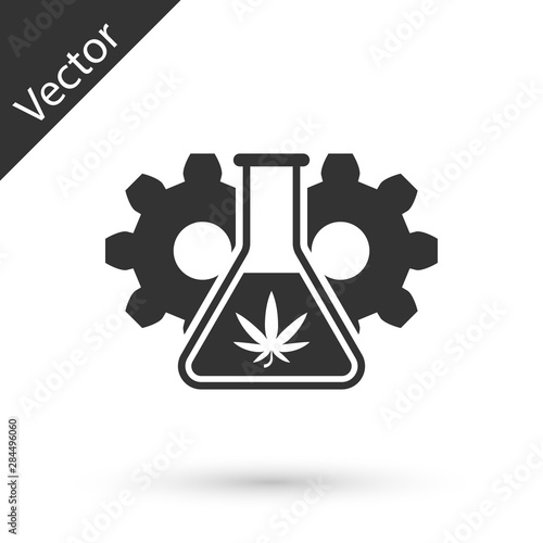 Grey Chemical test tube with marijuana or cannabis leaf icon isolated on white background. Research concept. Laboratory CBD oil concept. Vector Illustration