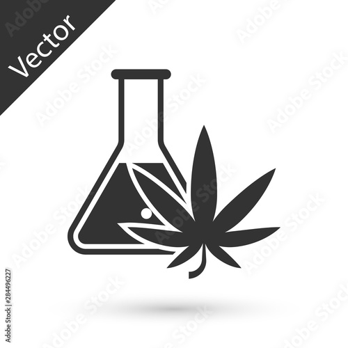 Grey Chemical test tube with marijuana or cannabis leaf icon isolated on white background. Research concept. Laboratory CBD oil concept. Vector Illustration