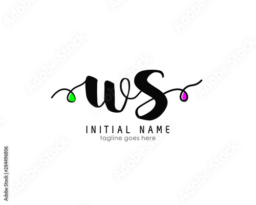 W S WS Initial brush color logo template vetor