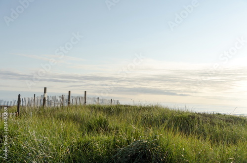 Dune protection fence at Westport beach near West Ocean Avenue