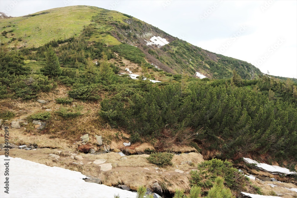 Obraz premium Landscape in the mountains. Carpathians.
