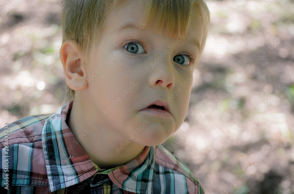 portrait of a little boy portrait of a little boy
