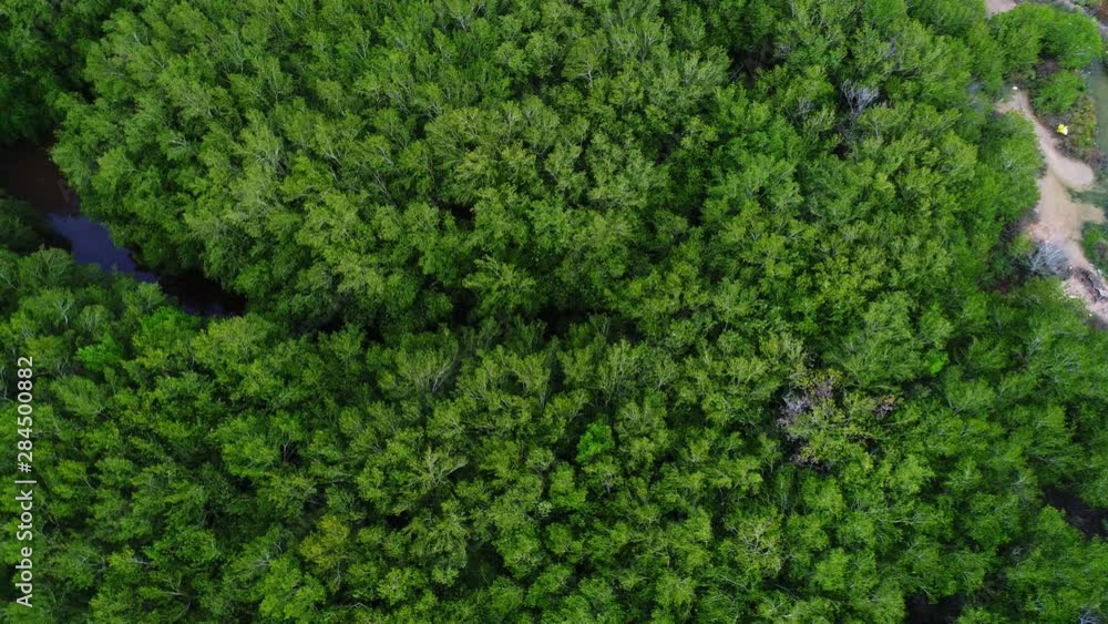 Aerial View Forest And Beautiful Clouds, green leaf forest video footage 4k. Aerial View Forest And Beautiful Clouds, green leaf forest video footage 4k.