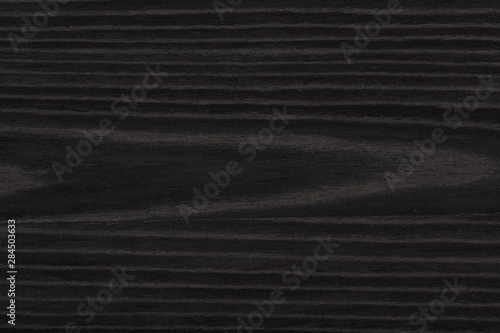 Contrast veneer background in black color for unique design. High quality texture in extremely high resolution. 50 megapixels photo.