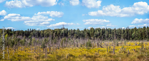 Panoramic view of Dubrava Reserve Area near Kaunas