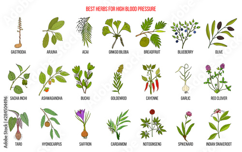 Best herbs that lower high blood pressure