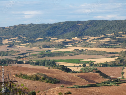 Viusta de los campos de Navarra desde la población de Cirauqui, Navarra, España photo