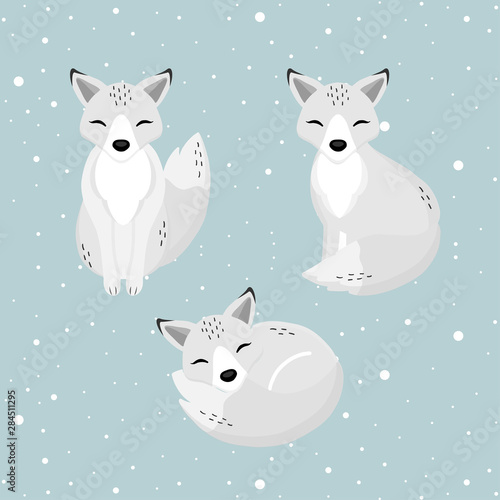 Hand drawn Arctic Fox in the winter.