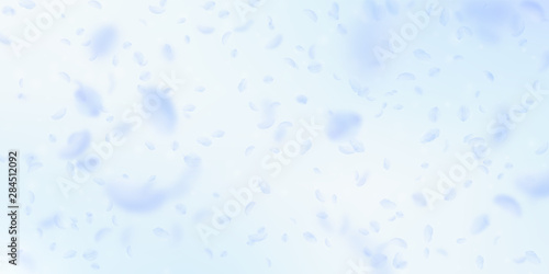 Light blue flower petals falling down. Sightly rom