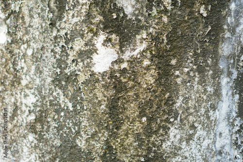 Old walls with water stains until moss