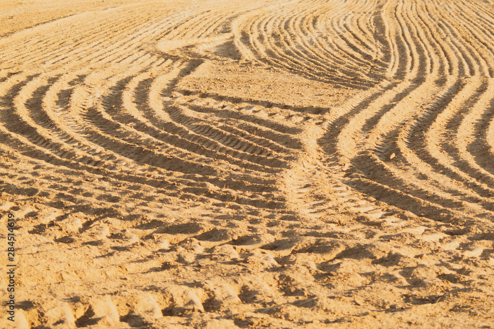 Naklejka premium Pattern of curved ridges and furrows on a sandy field. traces on the sand