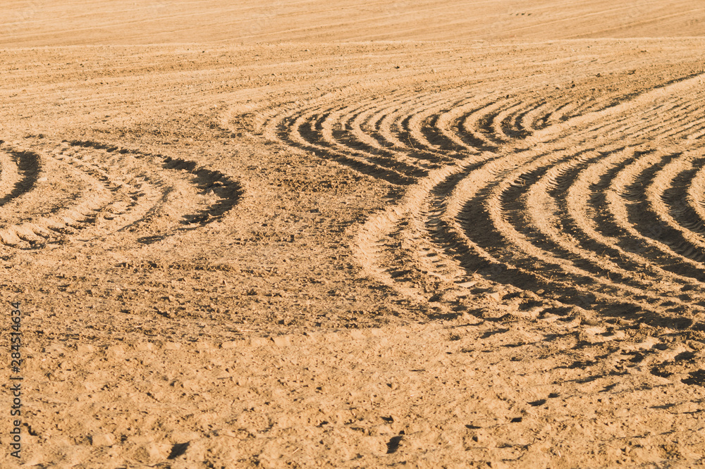 Pattern of curved ridges and furrows on a sandy field. traces on the sand